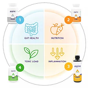 Core 4 Protocol Capsules