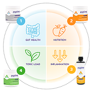 Core 4 Protocol Powders
