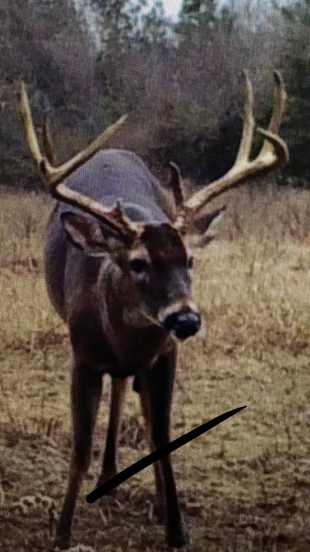 Sylvania Sportsman cover