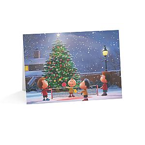 Jolly Volley Christmas Pickleball Holiday Cards