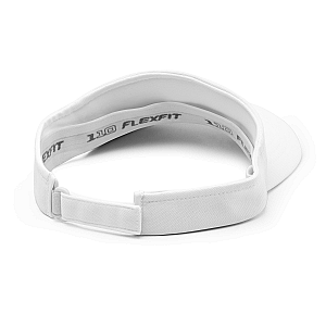 PICKLE Visor