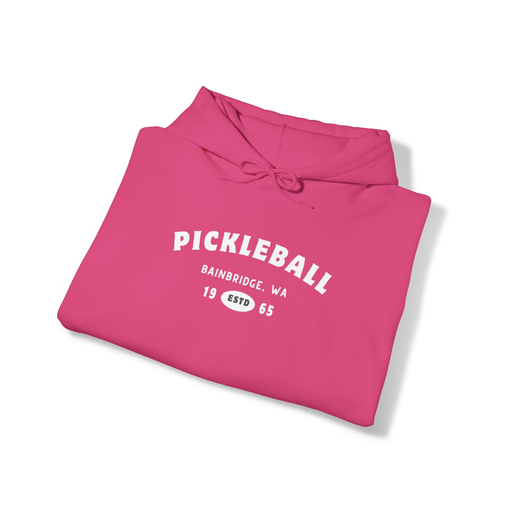 Pickleball Bainbridge 1965 Unisex Hoodie