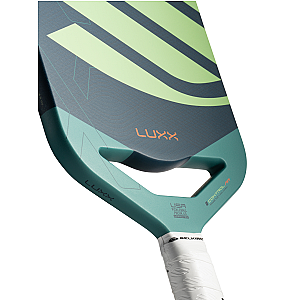 Selkirk LUXX Control Air with InfiniGrit®