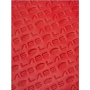 Selkirk LABS Red Paddle Collectors Case
