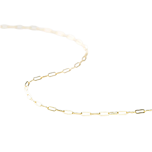 YOUnique Clip Link Necklace 18" Gold