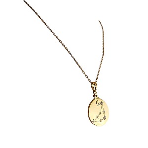 Zodiac Capricorn Necklace