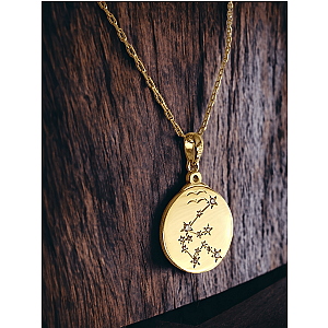 Zodiac Aquarius Necklace
