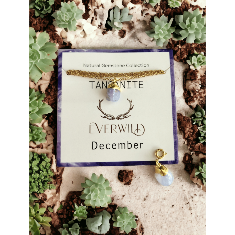 Everwild* Raw Natural Gemstone Nugget Birthstone Necklace - December Tanzanite