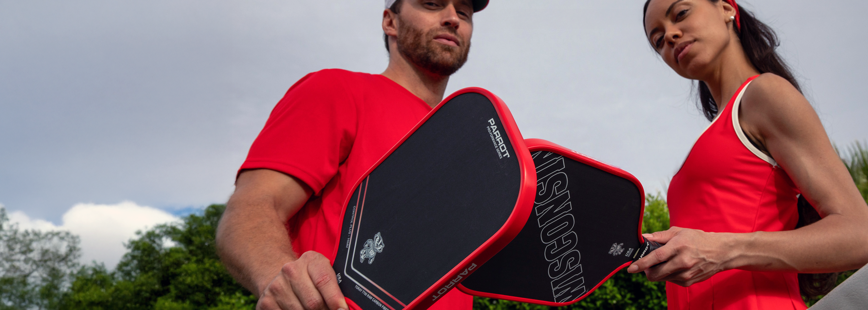 Parrot Paddles profile banner
