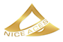 NiceAces profile banner