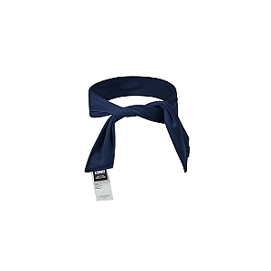 HB015-407 | RBLV HEADBAND | STARGAZER