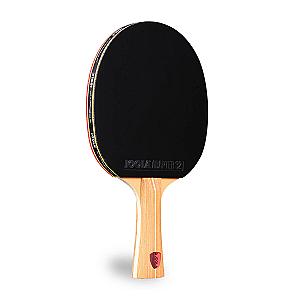 JOOLA Omega Control Table Tennis Racket with Vizon Rubber