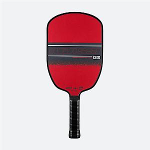 JOOLA Agassi/Graf Champion Pickleball Pack