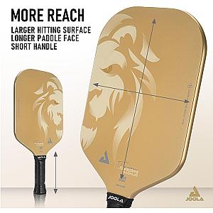 JOOLA Magnus CAS 14mm Pickleball Paddle
