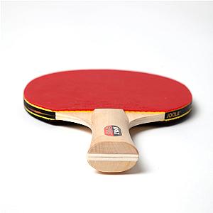 JOOLA Family Table Tennis Rackets & Balls Set