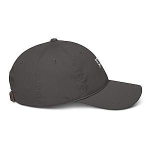 Pickleball Net Organic dad hat