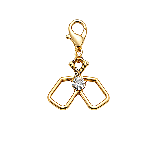 Gold Pickleball Paddle Clip On Charms