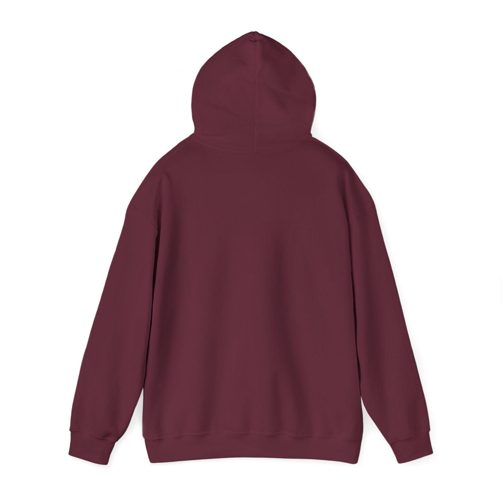 Cranky Mechanic Hoodie | Funny Car Guy Engine Humor