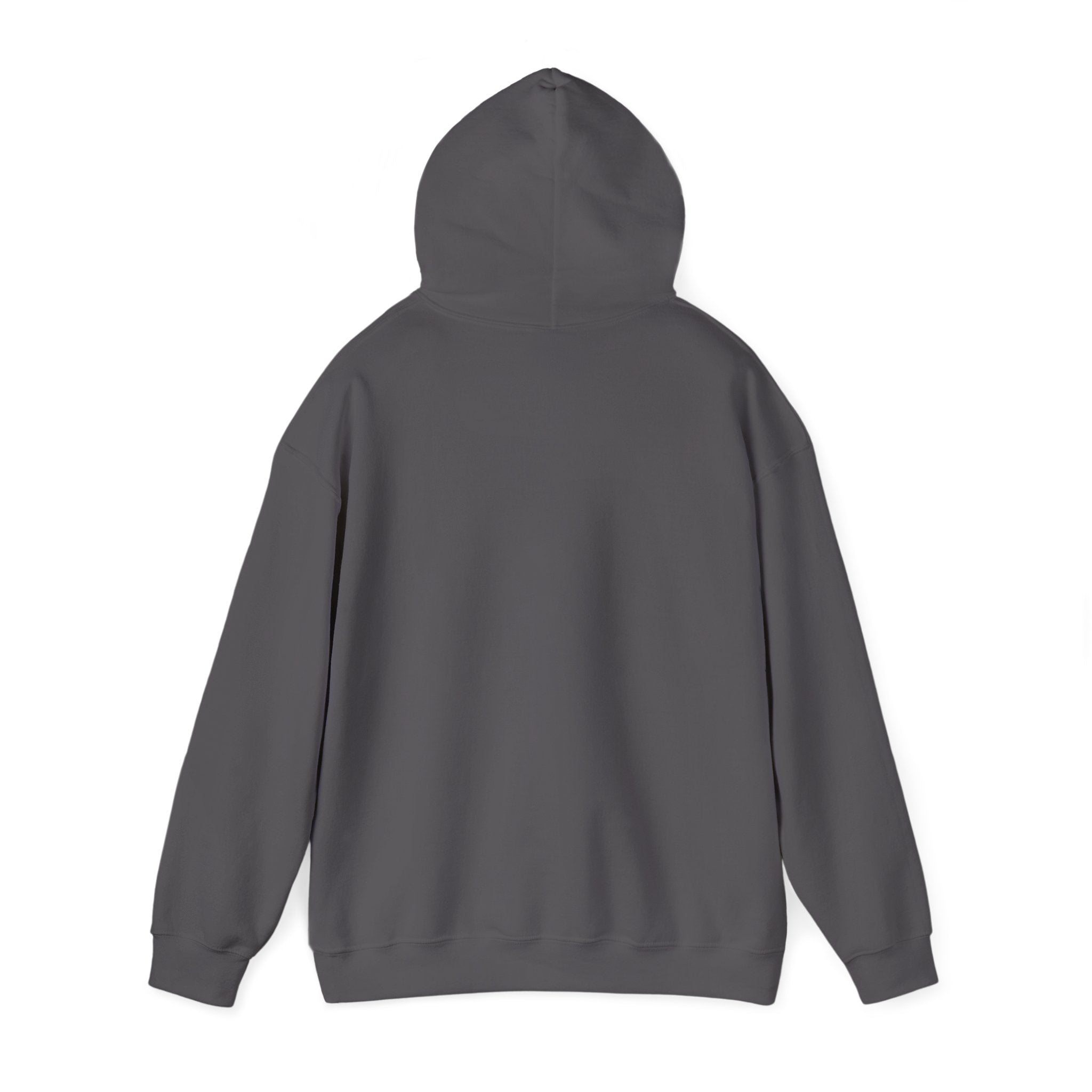 Cranky Mechanic Hoodie | Funny Car Guy Engine Humor