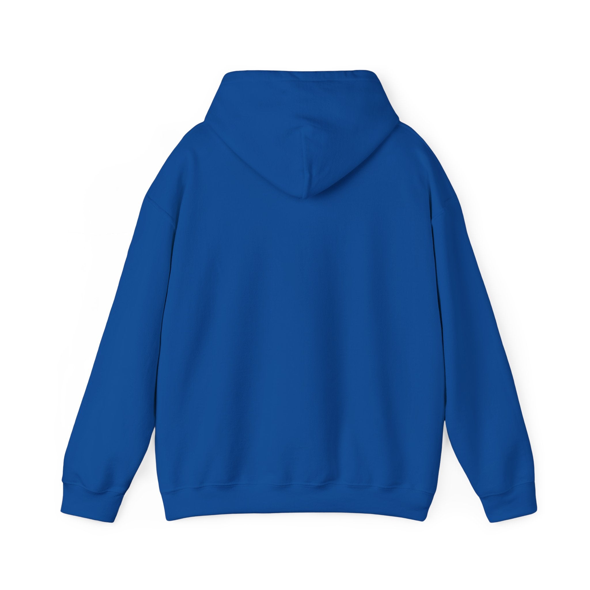 Cranky Mechanic Hoodie | Funny Car Guy Engine Humor