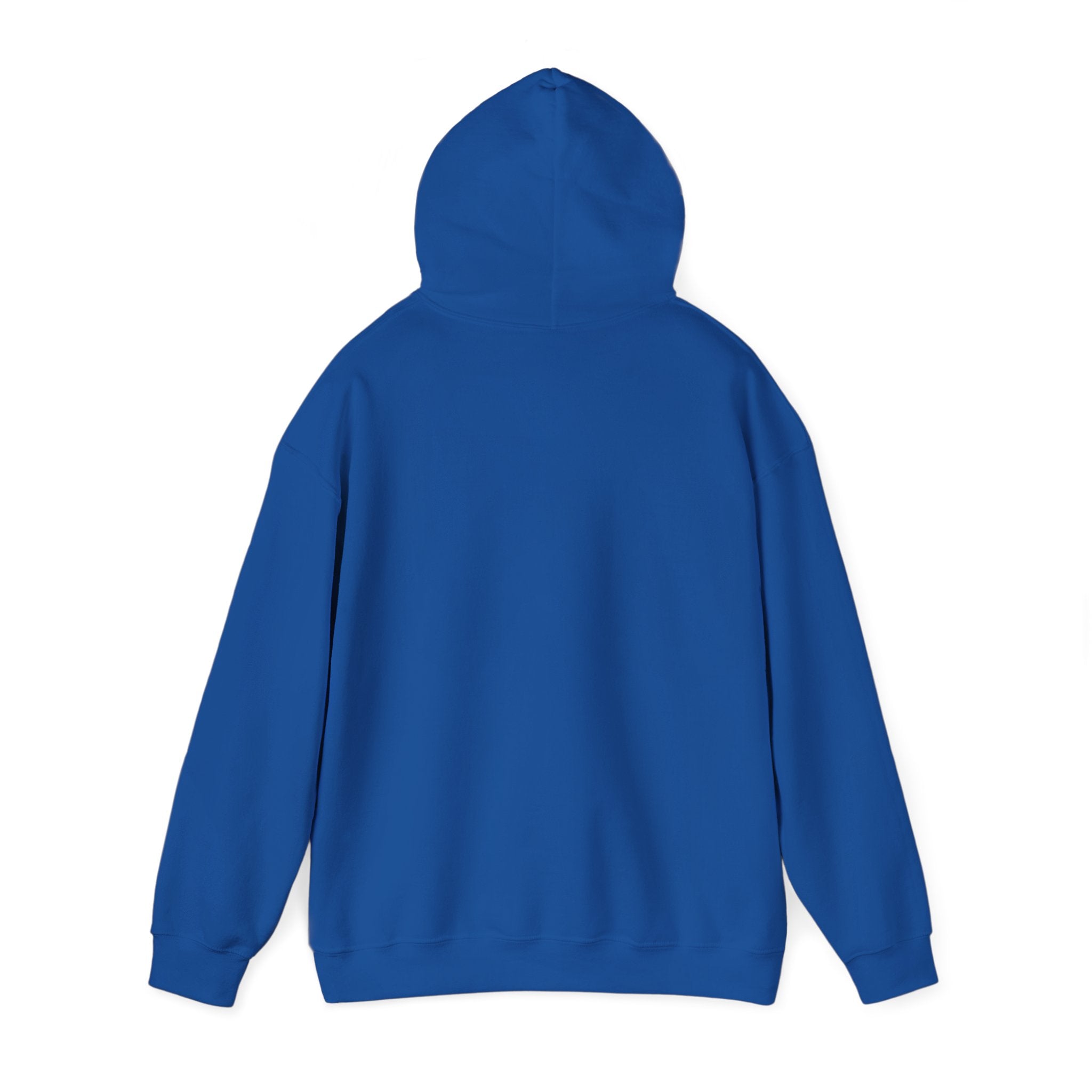 Cranky Mechanic Hoodie | Funny Car Guy Engine Humor