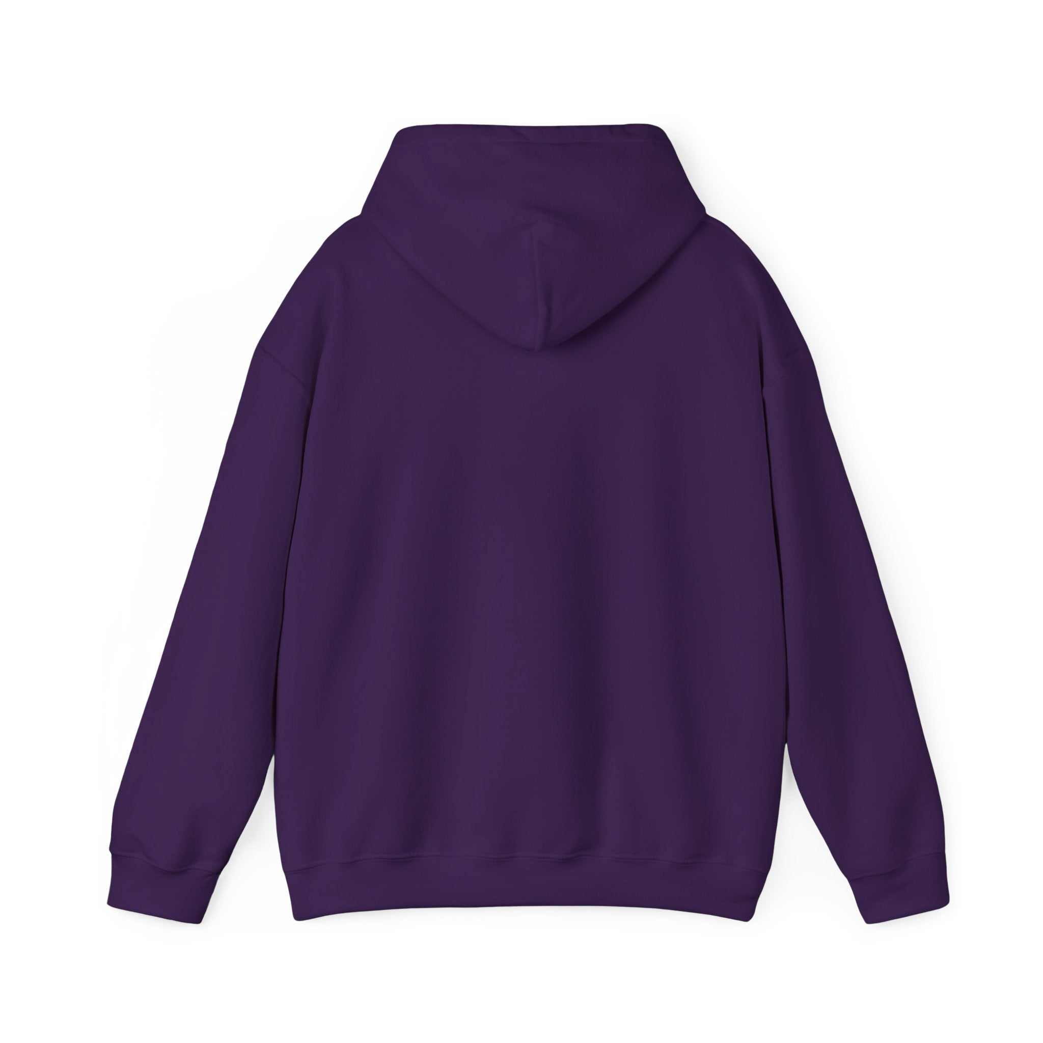 Cranky Mechanic Hoodie | Funny Car Guy Engine Humor