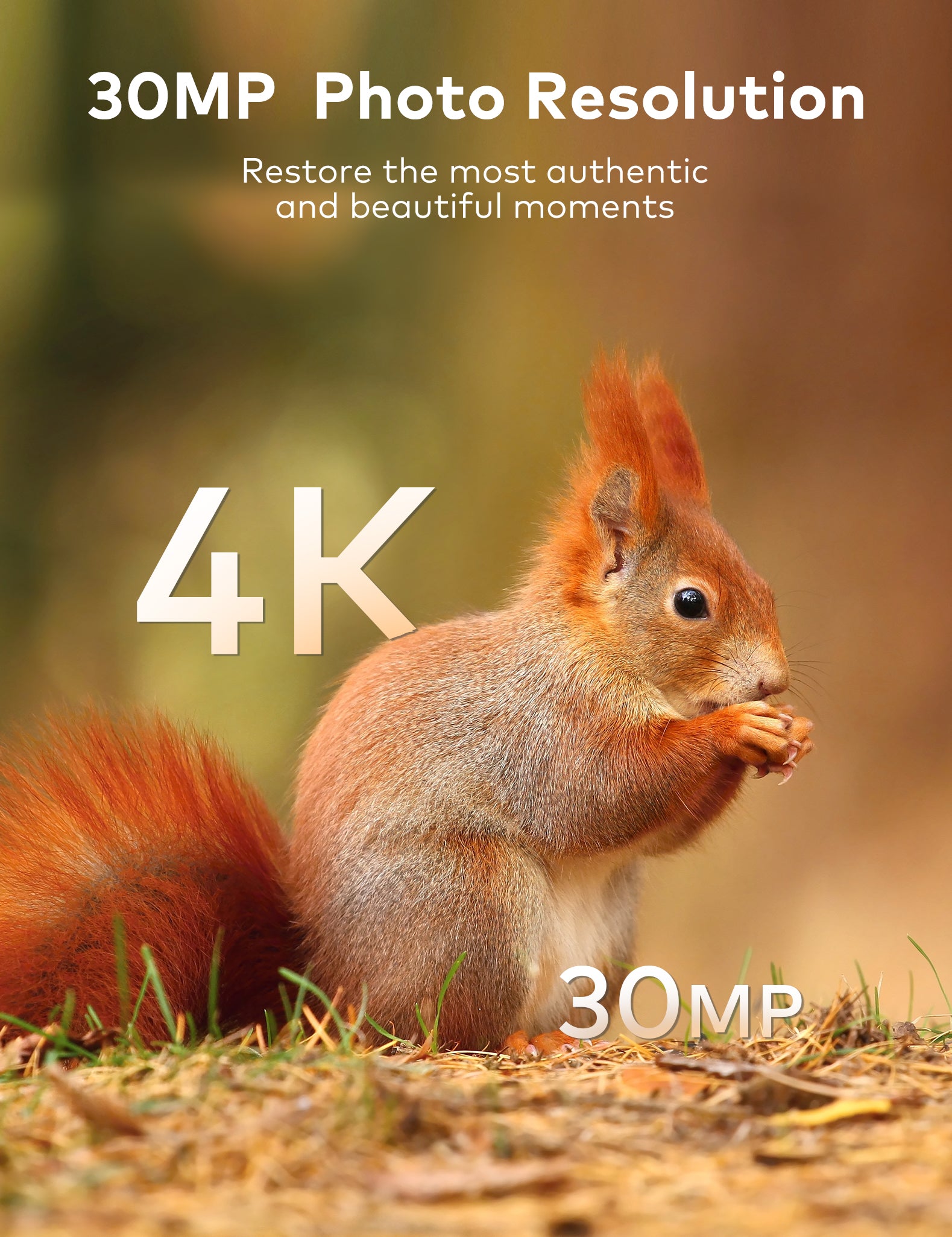 apeman H80 Wildlife Camera
