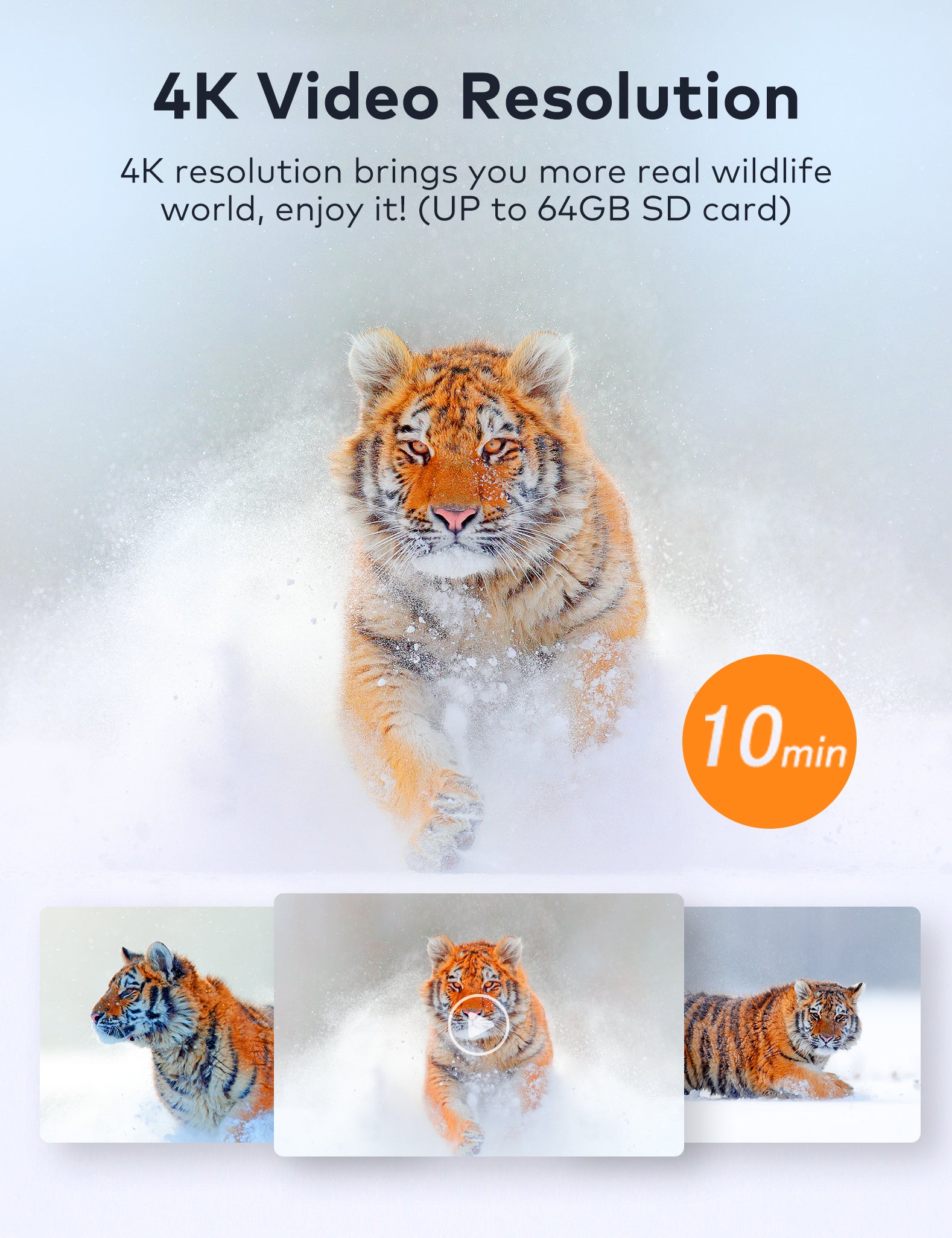 apeman H80 Wildlife Camera