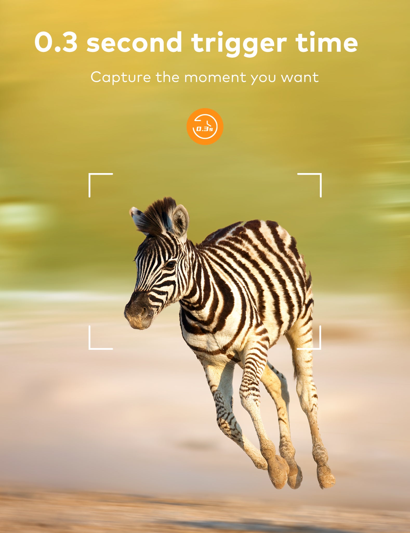 apeman H80 Wildlife Camera