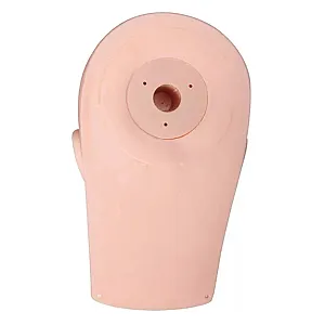 Mannequin head