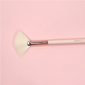 LARGE FAN BRUSH