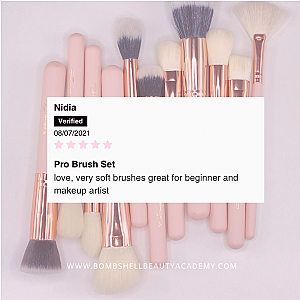 PRO BRUSH SET - 25pc