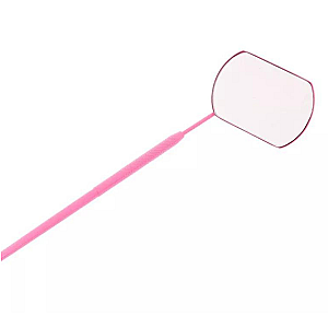 XL Lash Mirror