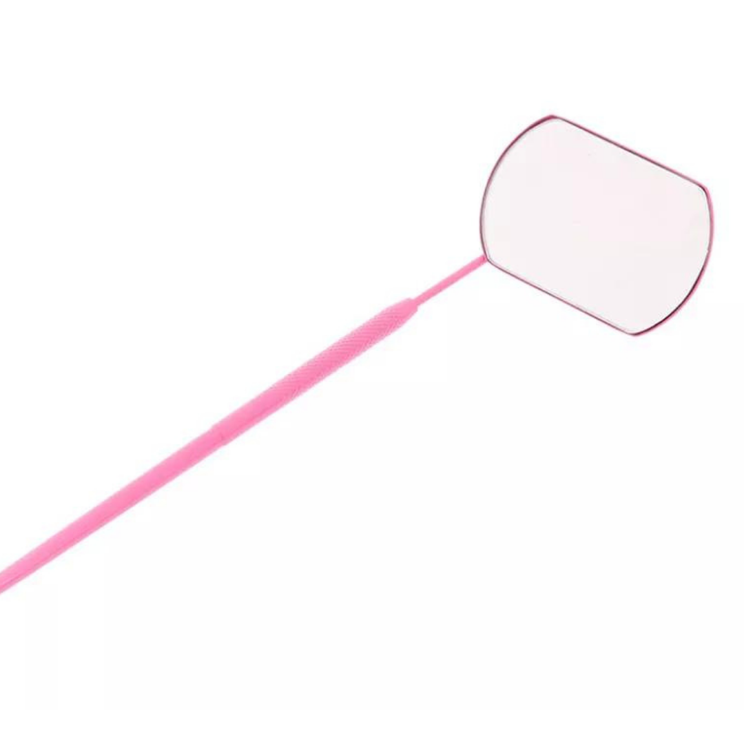 XL Lash Mirror