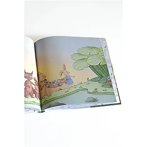 Sleep Frog Book