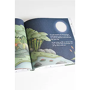 Sleep Frog Book